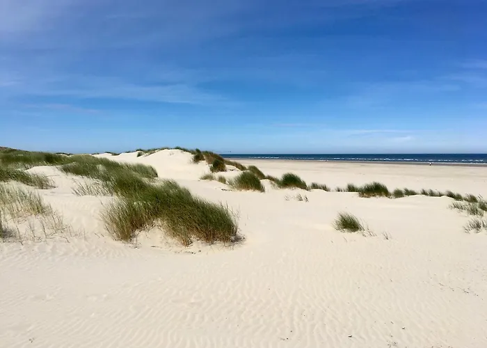 公寓 Residenz Am 24d Seestern24 于斯德